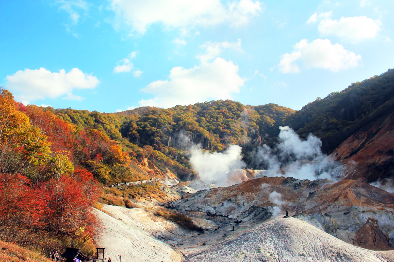 縱橫遊wwpkg 10月1日至11月30日 多日遊3天 札幌集合 小樽浪漫之城 登別地獄谷 5大紅葉名所 2晚溫泉之旅 不含機票